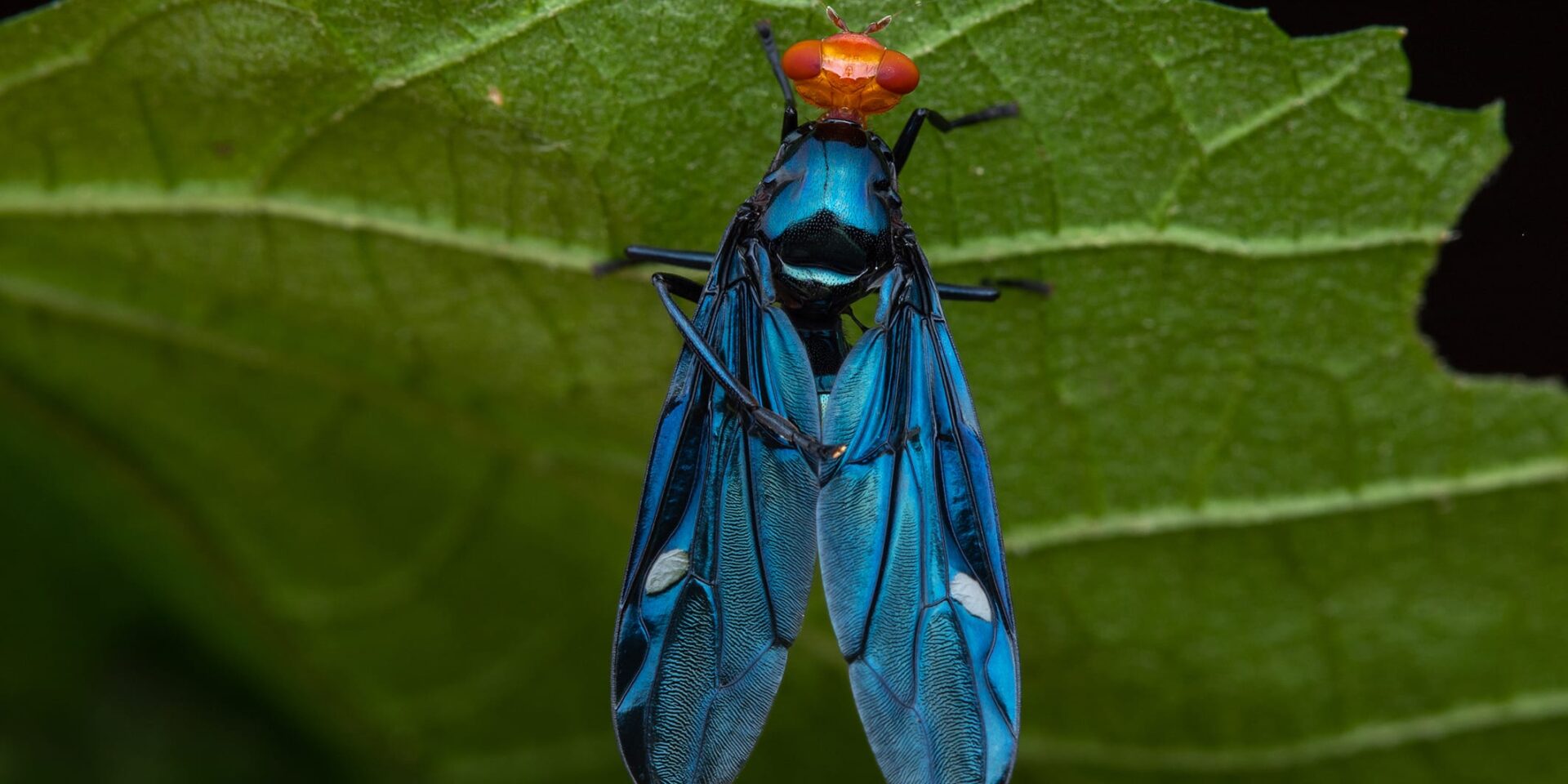 Frank Deschandol's Photos Uncover The Some Of The World's Most