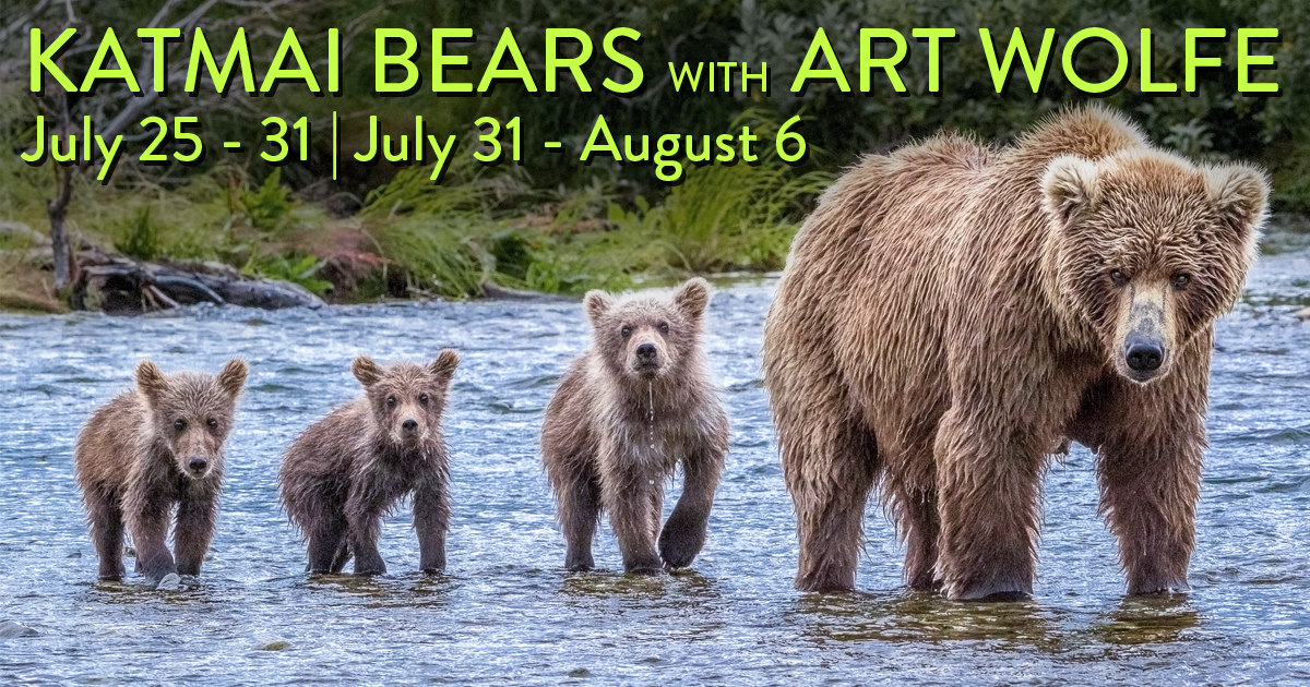 Katmai, Alaska Bear Tours Are Almost Full! (kaamsechitrakaar)