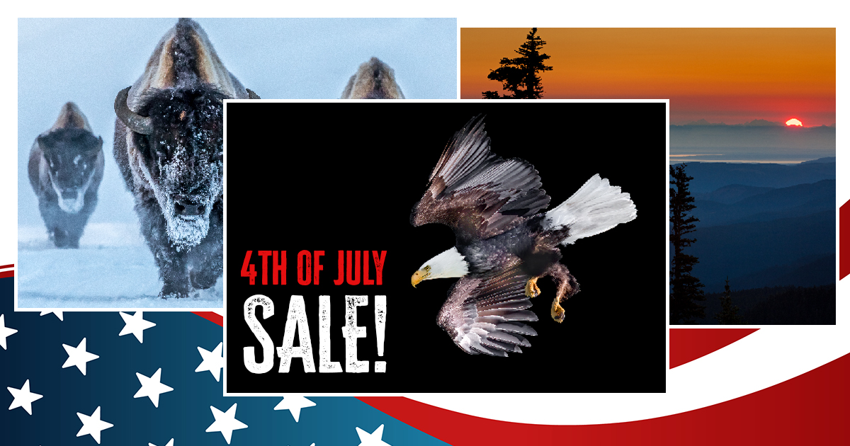 Happy Independence Day July 4th Print Sale! (kaamsechitrakaar)