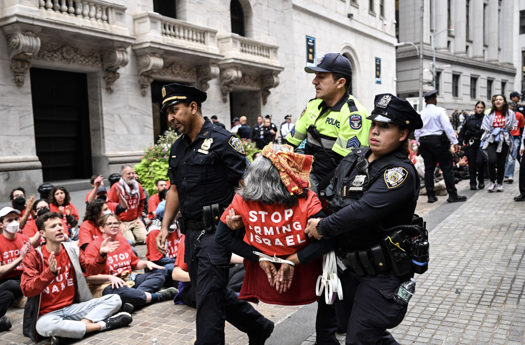 Nan Goldin, Molly Crabapple Arrested At Pro Palestine Protest (kaamsechitrakaar)